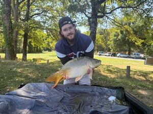 Mirror Carp