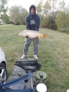 Common Carp