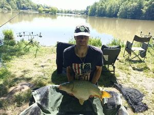 Common Carp