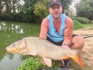 Common Carp