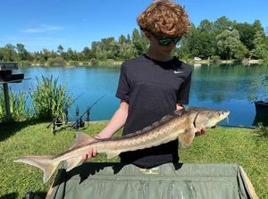 Sturgeon