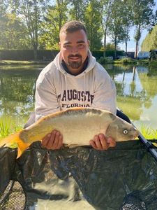 Mirror Carp