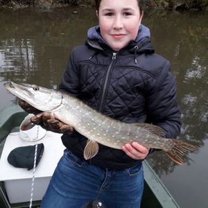 Northern Pike