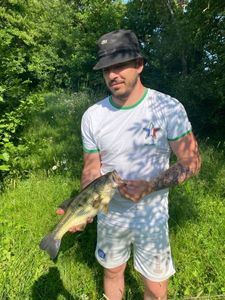 Largemouth Bass