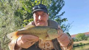 Largemouth Bass