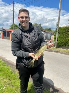 Northern Pike