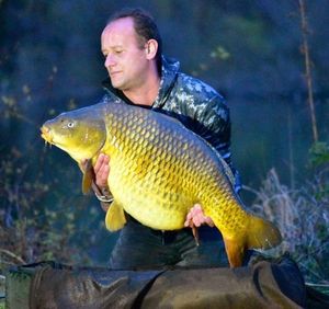 Common Carp
