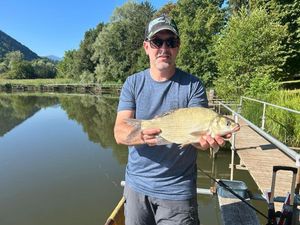 Common Bream