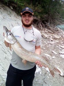 Northern Pike