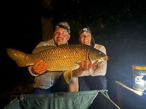 Common Carp