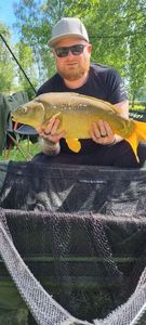 Mirror Carp