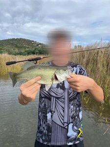 Smallmouth Bass