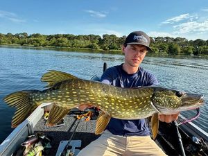Northern Pike