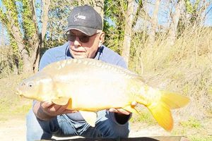 Mirror Carp