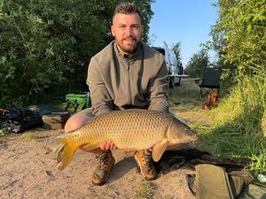 Common Carp