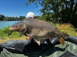 Leather Carp