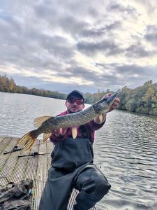 Northern Pike