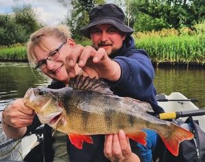 European Perch