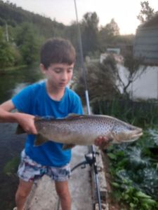 Truite de Mer