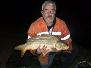 Common Carp