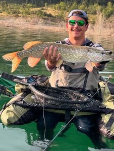 Northern Pike