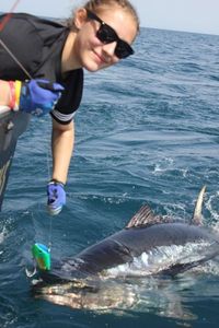 Bluefin Tuna