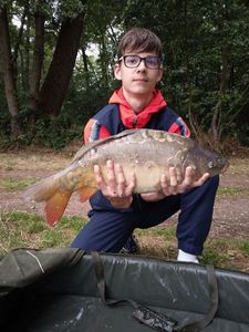 Mirror Carp