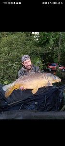 Mirror Carp