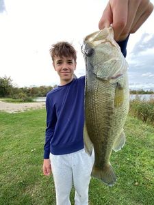 Largemouth Bass