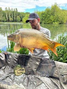 Leather Carp