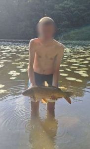 Common Carp