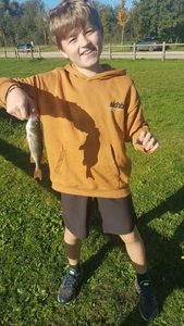 European Perch