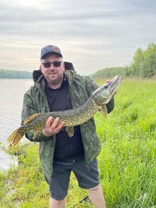 Northern Pike
