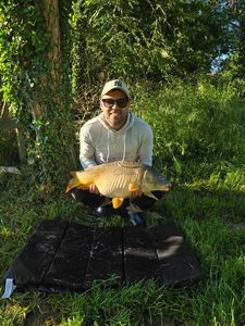 Mirror Carp