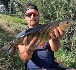 Chub