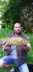 Tench