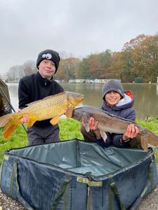 Common Carp