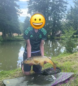 Common Carp