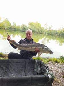 Sturgeon