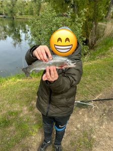Cutthroat Trout