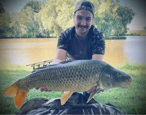 Common Carp