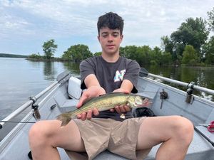 Zander