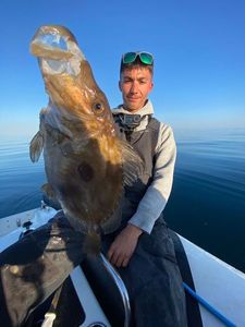 John Dory