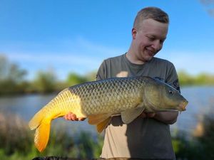 Common Carp