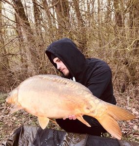 Mirror Carp