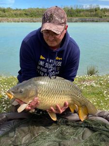 Common Carp