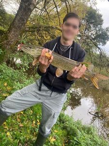 Northern Pike
