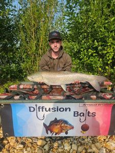 Grass Carp