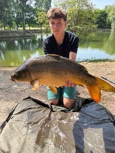 Mirror Carp