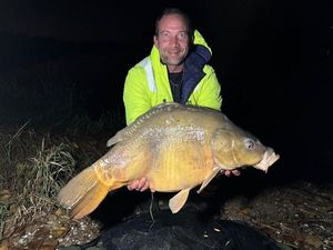 Mirror Carp